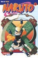 bokomslag Naruto 17