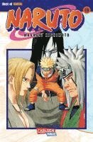 bokomslag Naruto 19