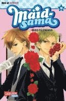 bokomslag Maid-sama 10