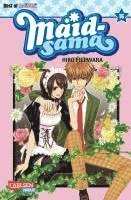 bokomslag Maid-sama 16