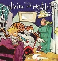 bokomslag Calvin & Hobbes 02 - Was sabbert da unter dem Bett?