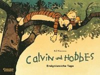 bokomslag Calvin & Hobbes 08 - Ereignisreiche Tage