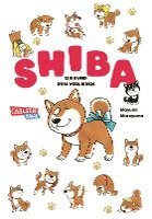 bokomslag Shiba - Ein Hund zum Verlieben