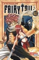 bokomslag Fairy Tail 12