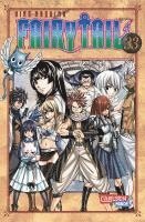 bokomslag Fairy Tail 33