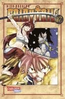 bokomslag Fairy Tail 47