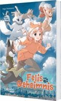 Inga Steinmetz - Felis Geheimnis, Häftad