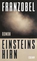 bokomslag Einsteins Hirn