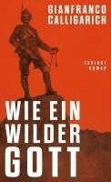 bokomslag Wie ein wilder Gott