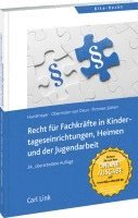 bokomslag Recht für Fachkräfte in Kindertageseinrichtungen, Heimen und der Jugendarbeit