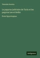 bokomslag Le papyrus judiciaire de Turin et les papyrus Lee et Rollin: Étude Égyptologique