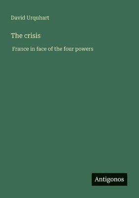 bokomslag The crisis