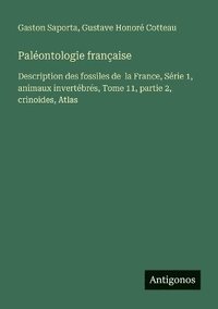 bokomslag Paléontologie française