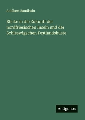 Adelbert Baudissin - Blicke in die Zukunft der nordfriesischen Inseln und der Schleswigschen Festlandsküste, Häftad