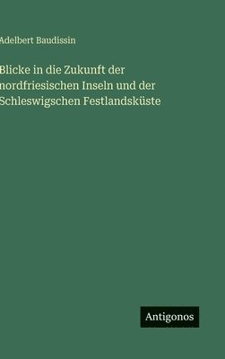 Adelbert Baudissin - Blicke in die Zukunft der nordfriesischen Inseln und der Schleswigschen Festlandsküste, Inbunden