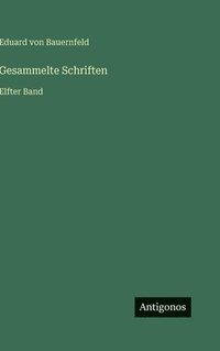 bokomslag Gesammelte Schriften