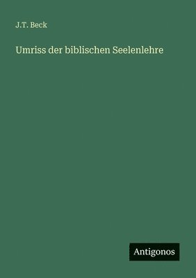 bokomslag Umriss der biblischen Seelenlehre