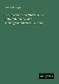 bokomslag Knochen und Muskeln der Extremitäten bei den schlangenähnlichen Sauriern
