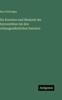 bokomslag Die Knochen und Muskeln der Extremitäten bei den schlangenähnlichen Sauriern
