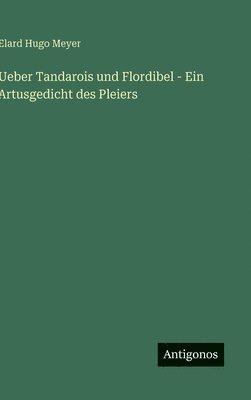 bokomslag Ueber Tandarois und Flordibel - Ein Artusgedicht des Pleiers