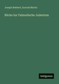 bokomslag Blicke ins Talmudische Judentum