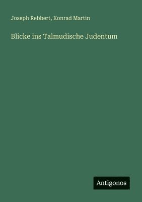 bokomslag Blicke ins Talmudische Judentum