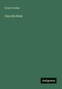 bokomslag Das alte Rom