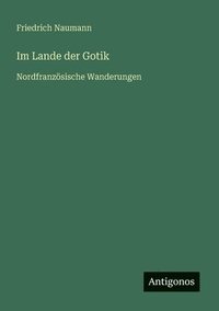 bokomslag Im Lande der Gotik