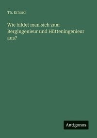bokomslag Wie bildet man sich zum Bergingenieur und Hütteningenieur aus?