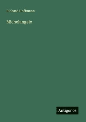 bokomslag Michelangelo