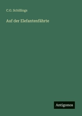 bokomslag Auf der Elefantenfährte