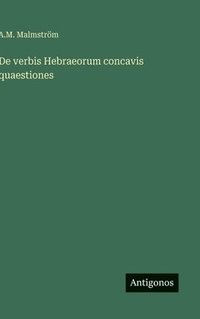bokomslag De verbis Hebraeorum concavis quaestiones