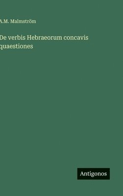 bokomslag De verbis Hebraeorum concavis quaestiones