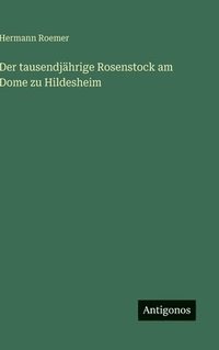 bokomslag Der tausendjährige Rosenstock am Dome zu Hildesheim