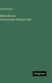 bokomslag Methodik der Privatrechts-Wissenschaft