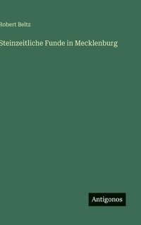 bokomslag Steinzeitliche Funde in Mecklenburg