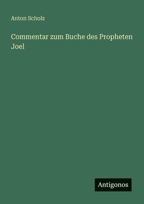 bokomslag Commentar zum Buche des Propheten Joel