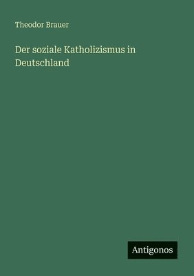 bokomslag soziale Katholizismus in Deutschland