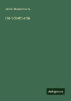 bokomslag Die Schaffnerin