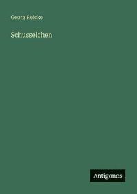 bokomslag Schusselchen