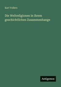 bokomslag Weltreligionen in ihrem geschichtlichen Zusammenhange