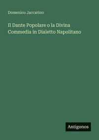 bokomslag Dante Popolare o la Divina Commedia in Dialetto Napolitano