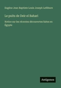 bokomslag puits de Deir el Bahari