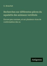 bokomslag Recherches sur différentes pièces du squelette des animaux vertébrés