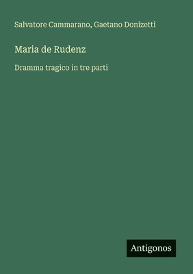 bokomslag Maria de Rudenz