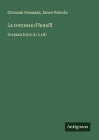 bokomslag La contessa d'Amalfi