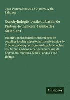 bokomslag Conchyliologie fossile du bassin de l'Adour 4e mémoire, famille des Mélaniens