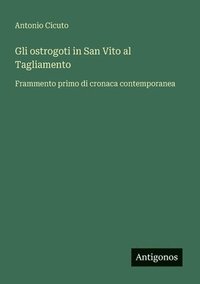 bokomslag Gli ostrogoti in San Vito al Tagliamento