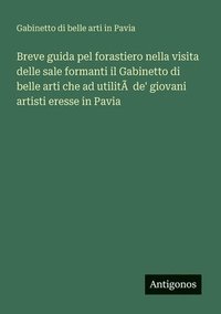 bokomslag Breve guida pel forastiero nella visita delle sale formanti il Gabinetto di belle arti che ad utilitÃ de' giovani artisti eresse in Pavia