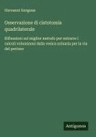bokomslag Osservazione di cistotomia quadrilaterale